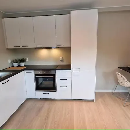 Lejlighed Comfortable With Free Parking *